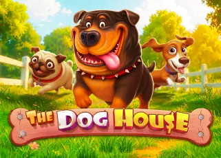 The Dog House nova888